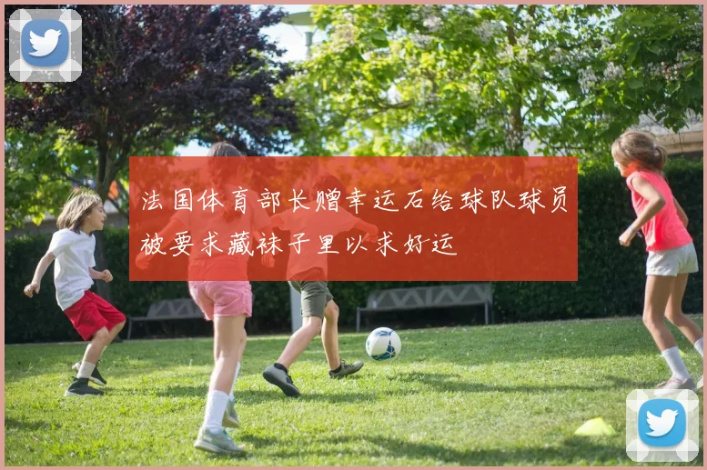 法国体育部长赠幸运石给球队球员被要求藏袜子里以求好运